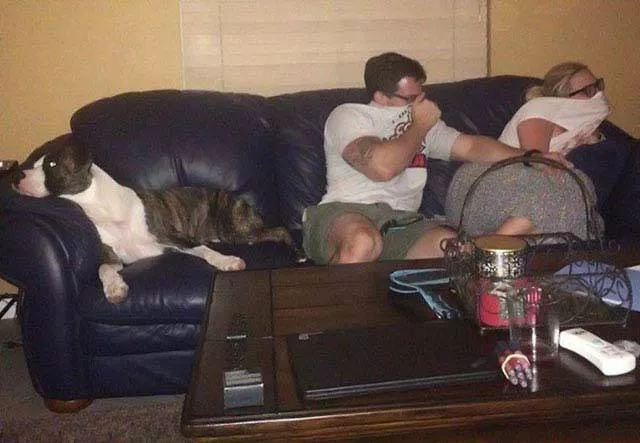 Picdump 224 - #38 Picdump 224 - #38