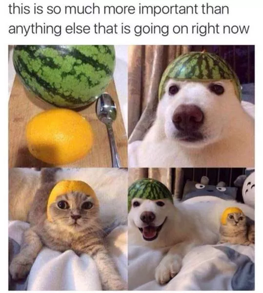 Picdump 224 - #43  Picdump 224 - #43