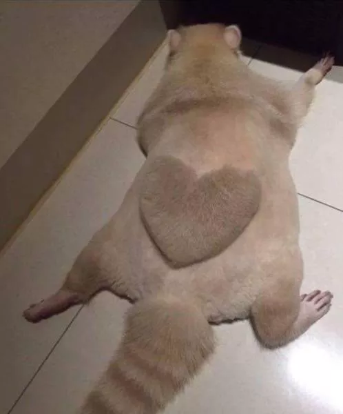 Picdump 225 - #1 