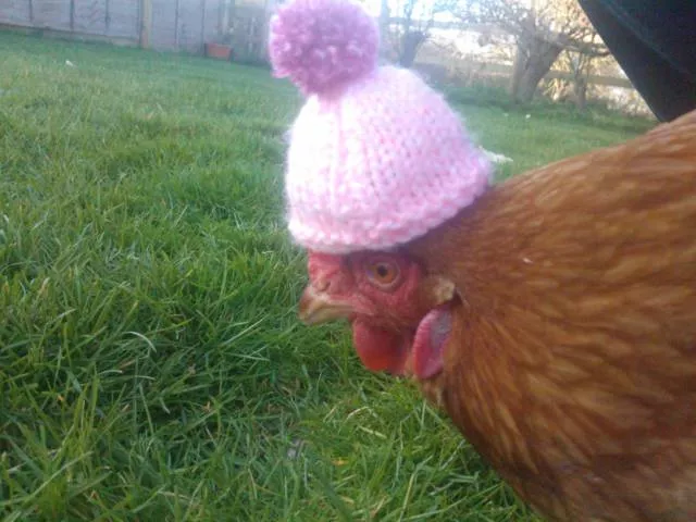 Picdump 225 - #26 