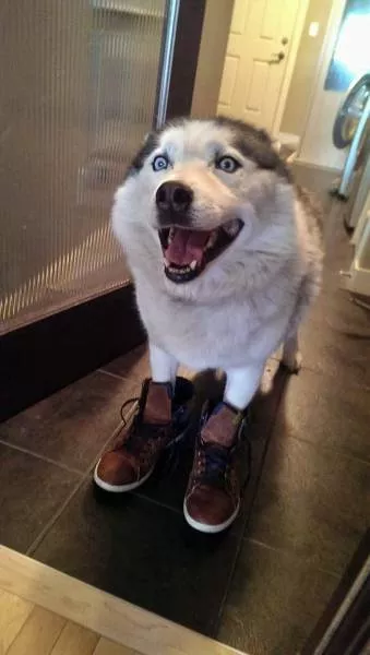 Picdump 225 - #27 