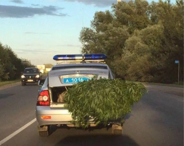 Picdump 225 - #39 