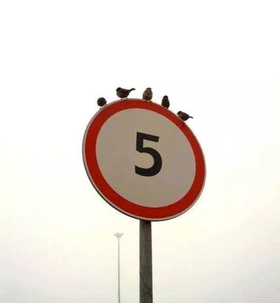 Picdump 225 - #5 