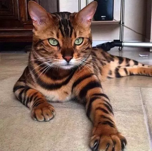 Picdump 225 - #9 