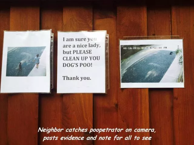 Picdump 226 - #32 