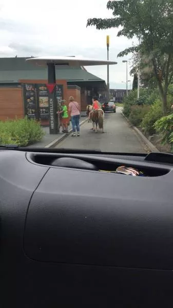 Picdump 226 - #45 