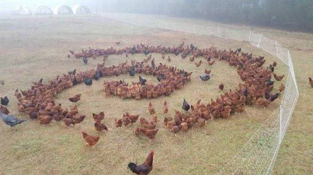 Picdump 226 - #51 
