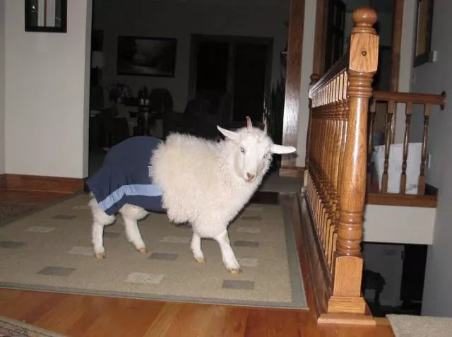 Picdump 226 - #60 