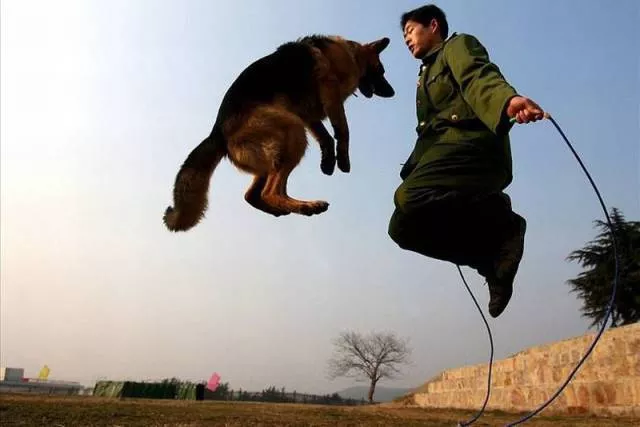 Picdump 226 - #63 