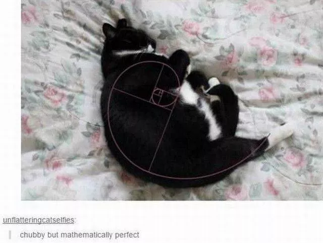 Picdump 226 - #89 
