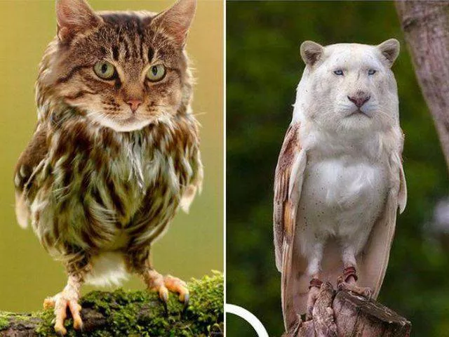 Picdump 226 - #9 