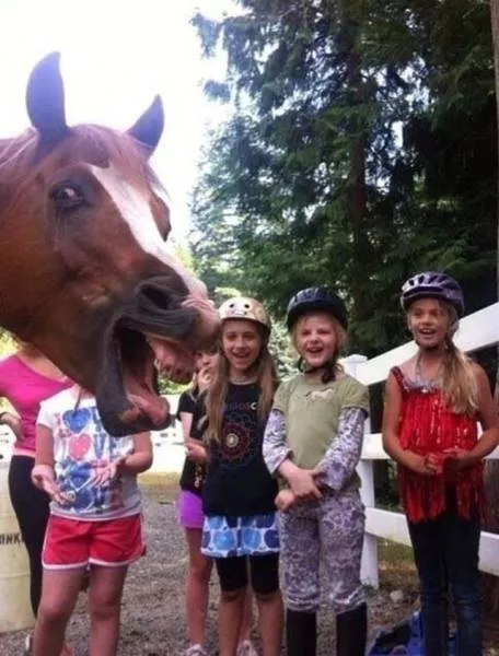 Heres how to spoil a picture - #23 