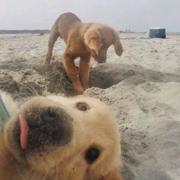Heres how to spoil a picture - #25 