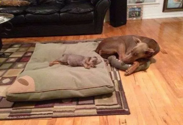 Picdump 227 - #20 Picdump 227 - #20