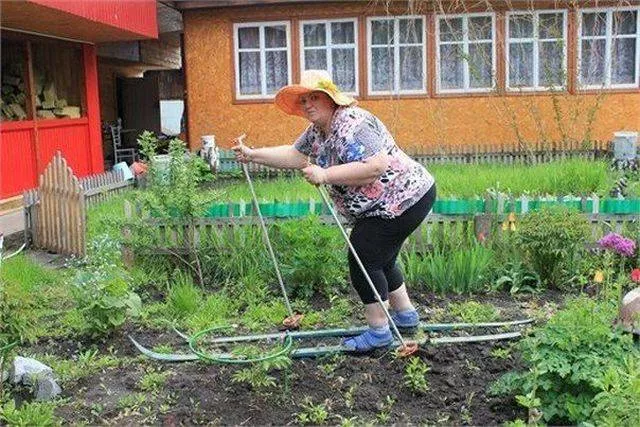 Picdump 227 - #66 Picdump 227 - #66