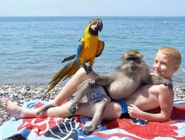 Sans commentaire ils sont superbes - #12 