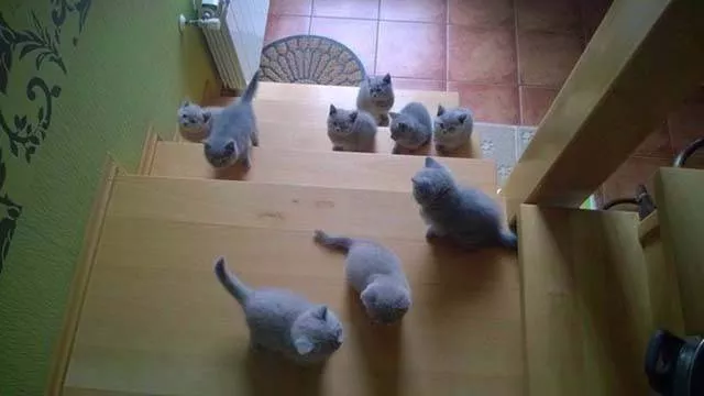 Without comment they are superb - #2 