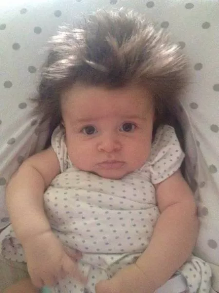 Sans commentaire ils sont superbes - #20 