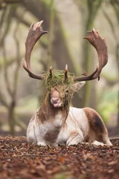 Picdump 228 - #10 