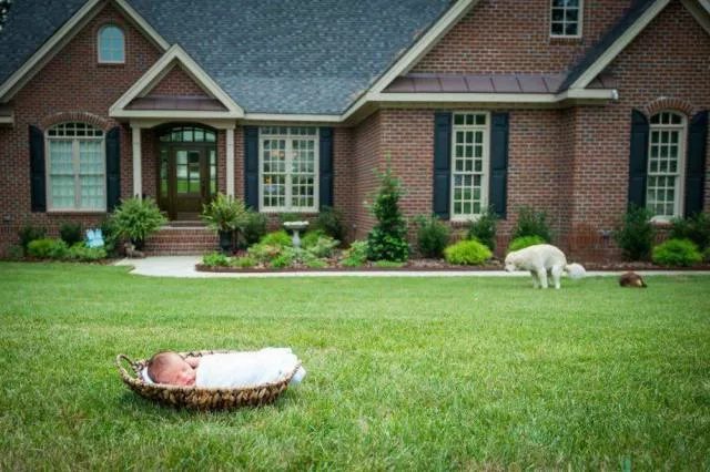 Picdump 228 - #15 