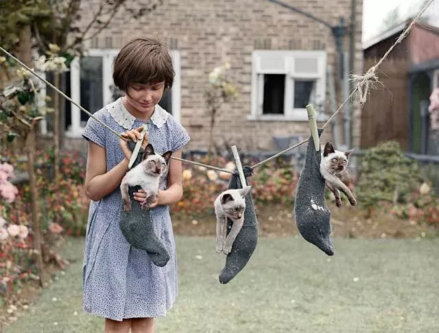 Picdump 228 - #47 