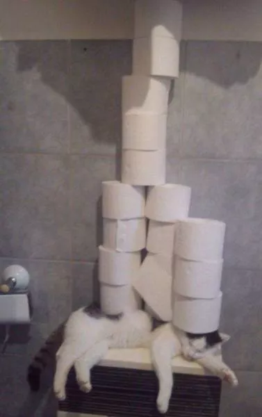 Picdump 228 - #57 