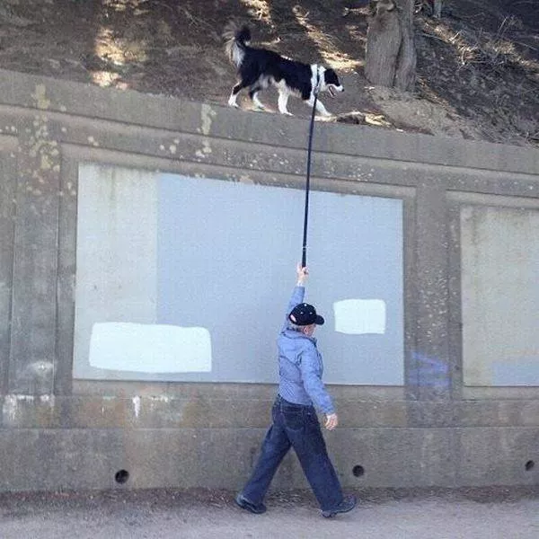 Picdump 228 - #58 