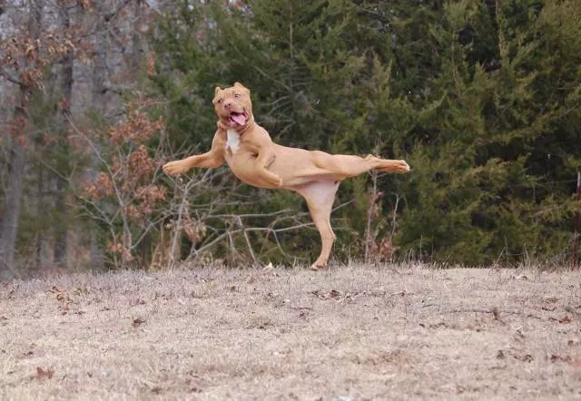 Picdump 229 - #10 