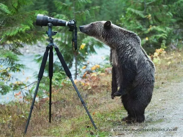 Picdump 229 - #17 