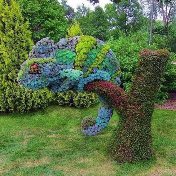 Picdump 229 - #25 Picdump 229 - #25