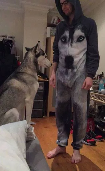 Picdump 230 - #53 Picdump 230 - #53