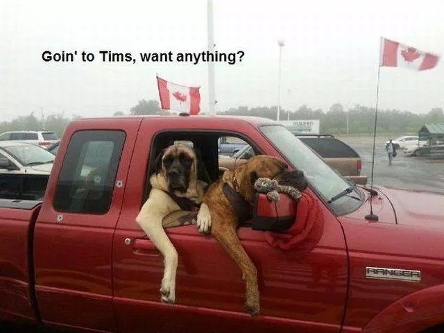 Picdump 230 - #6 
