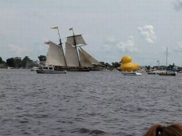 Picdump 230 - #71 