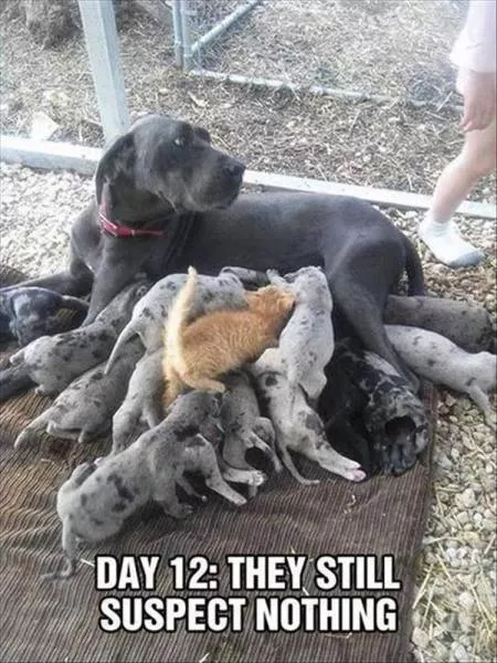 Picdump 230 - #82 