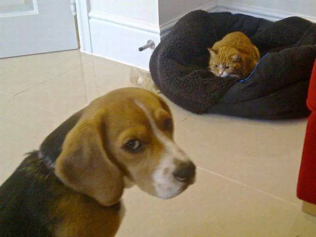 Picdump 230 - #88 