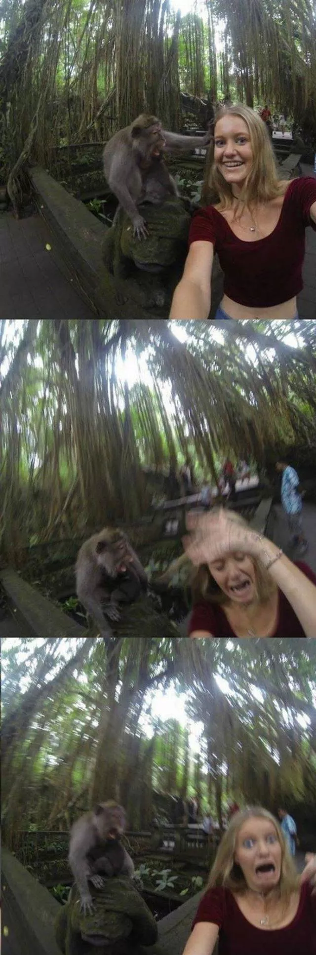 Picdump 230 - #93 
