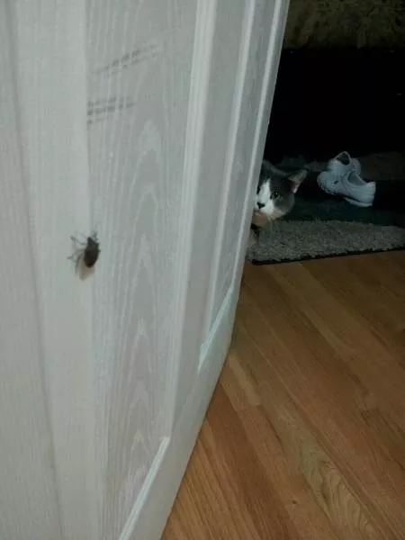 Picdump 131