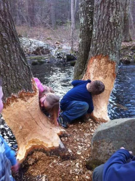 Picdump 131 - #45  Picdump 131 - #45