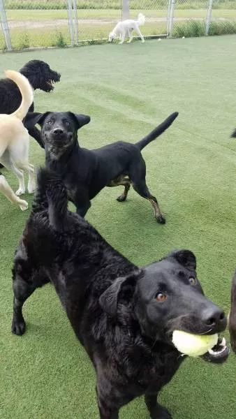 Picdump 131 - #47  Picdump 131 - #47