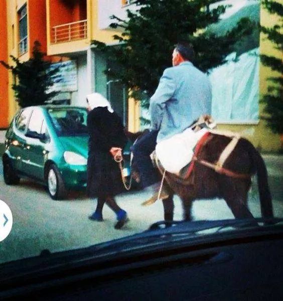Picdump 132 - #51 