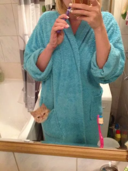 Picdump 133 - #13 