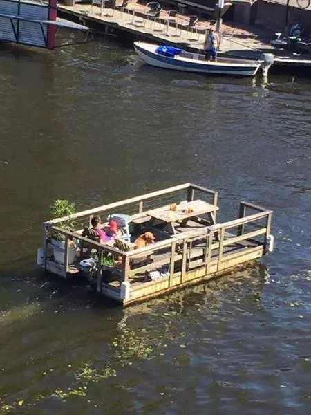 Picdump 133 - #17 