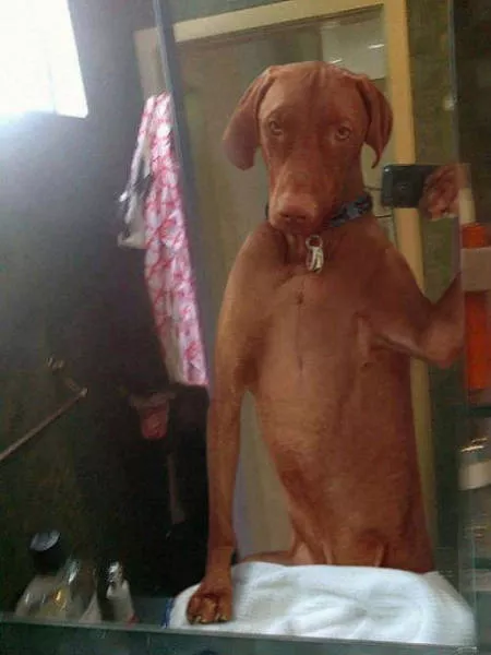 Picdump 133 - #26 