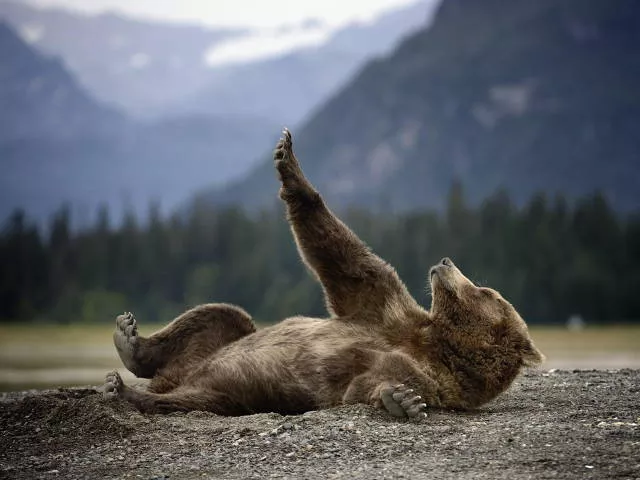Picdump 133 - #40 