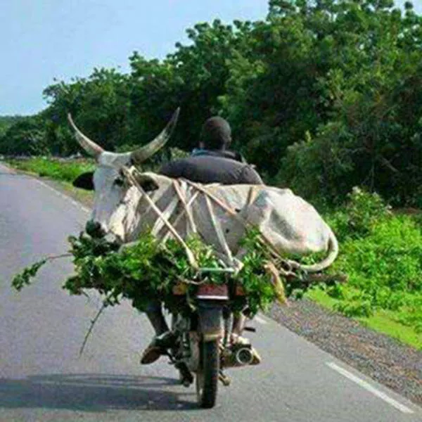 Picdump 133 - #52 