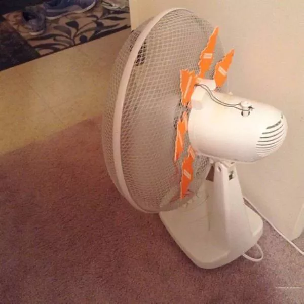 Cest stupide ou pas