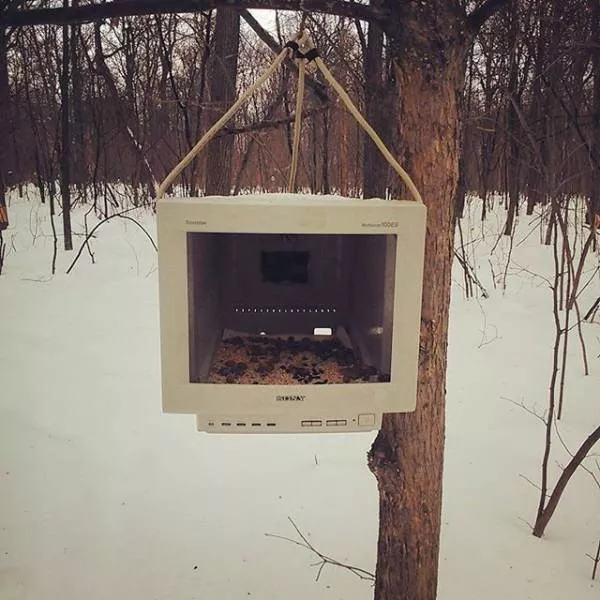 Its stupid or not - #9 