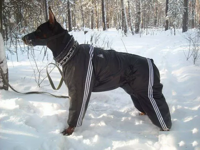 Picdump 29 - #19 