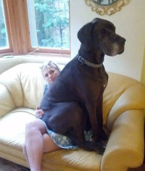 Picdump 29 - #35 
