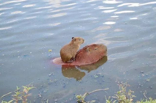 Picdump 134 - #19 